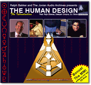 Beispiele für unsere Grafik-Design Arbeiten