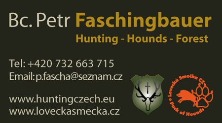 Beispiele für unsere Grafik-Design Arbeiten